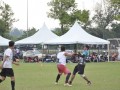 Tn dsc 2313